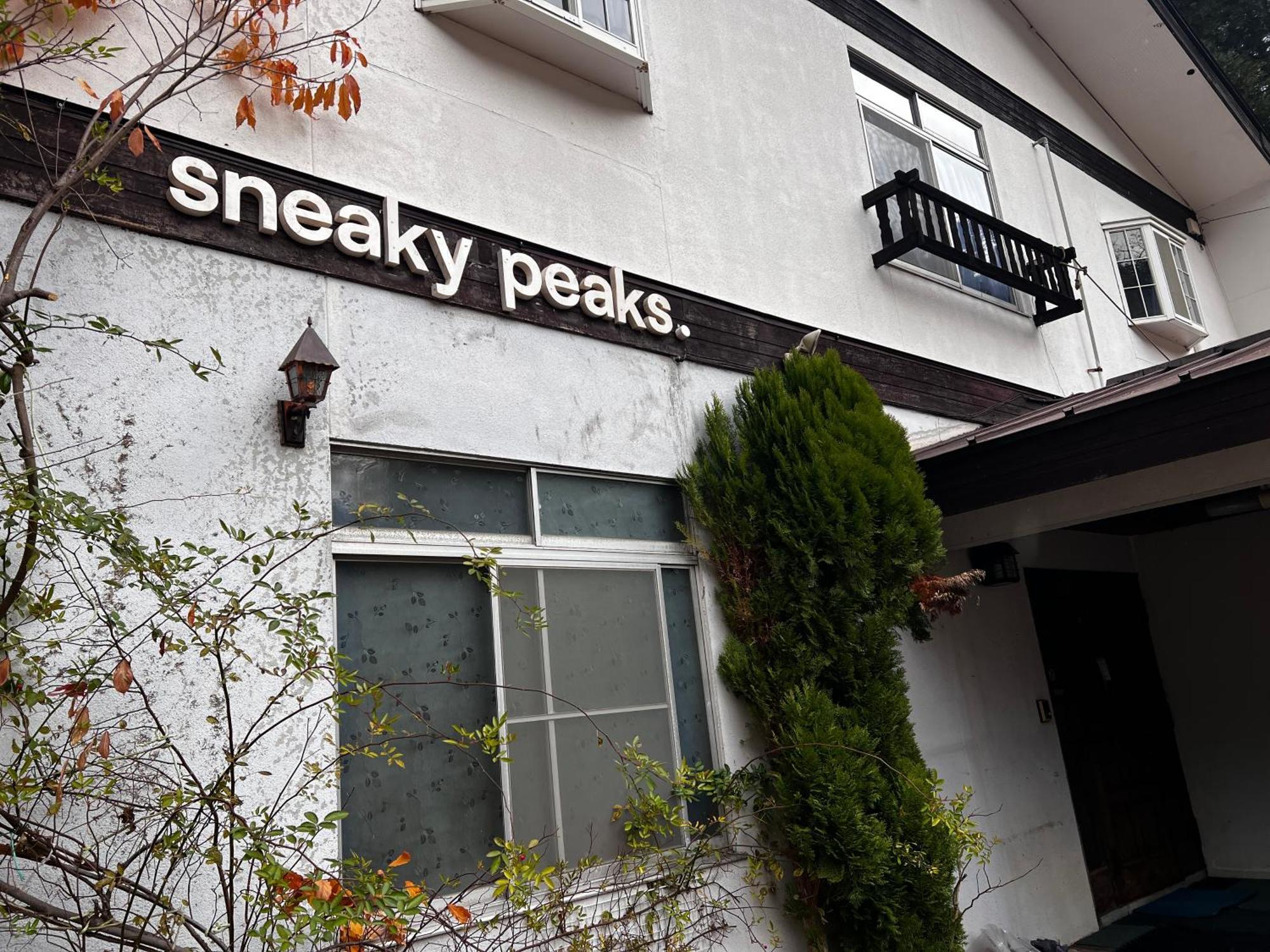 Hotel Sneaky Peaks Hakuba Exterior foto