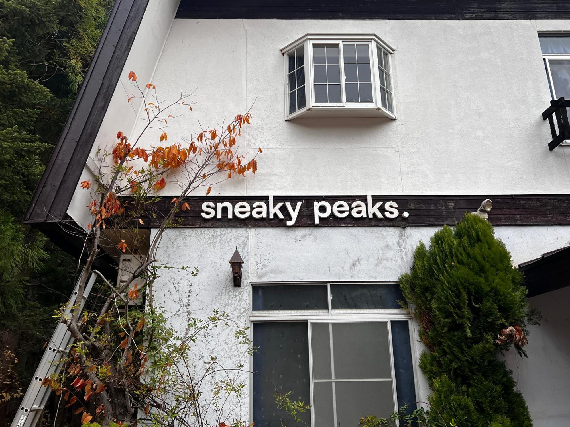 Hotel Sneaky Peaks Hakuba Exterior foto